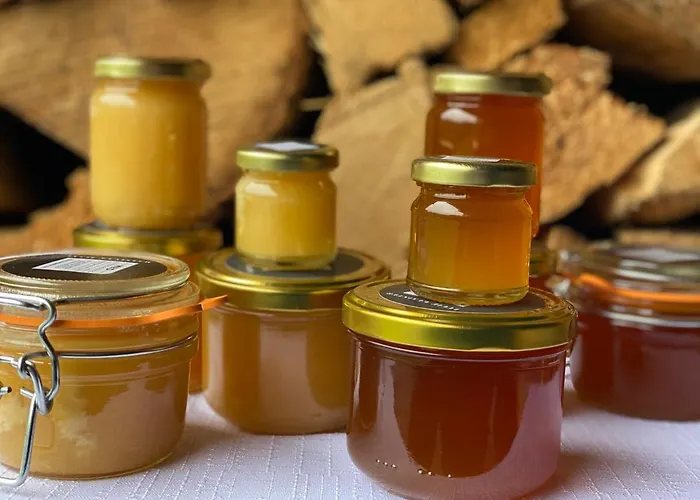 Lyžařská Bouda Domovina 3* Špindlerŭv Mlýn