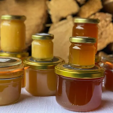 Lyzarska Bouda Domovina 3* Špindlerŭv Mlýn