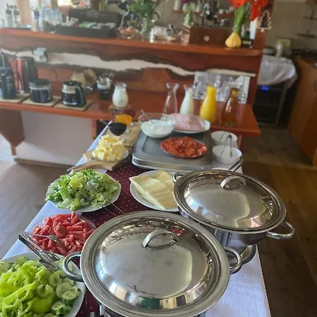 Lyzarska Bouda Domovina Отель 3*
