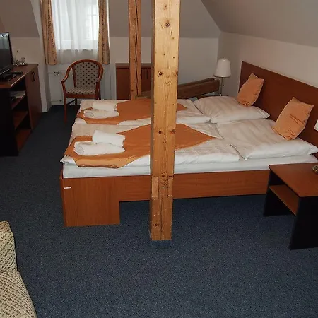 Отель Lyzarska Bouda Domovina 3*